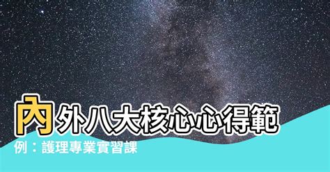 內外八大核心心得範例|內 外 科 護 理 二